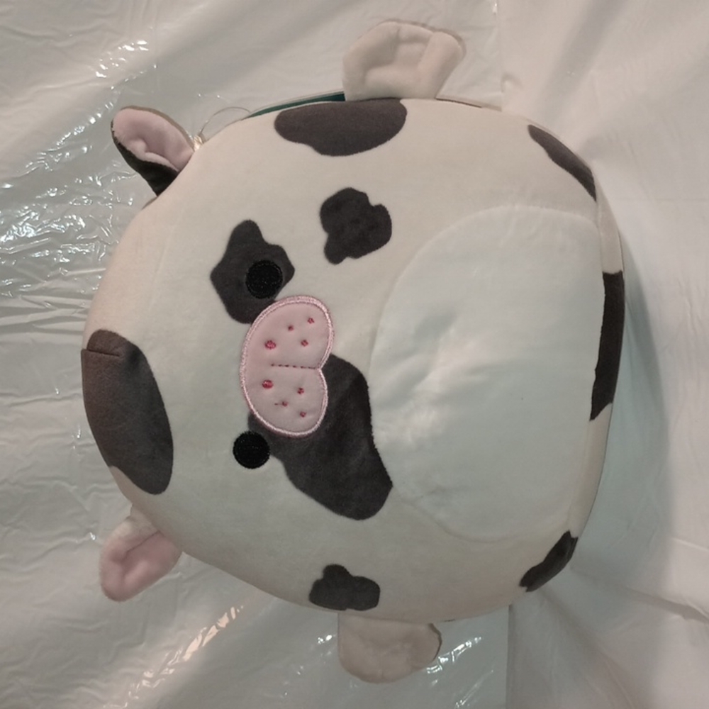 Squishmallows 8" Kona the Seacow (NWT)